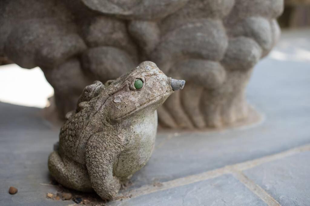 Frogs Bottom Retreat Faversham & Canterbury, Kent المظهر الخارجي الصورة